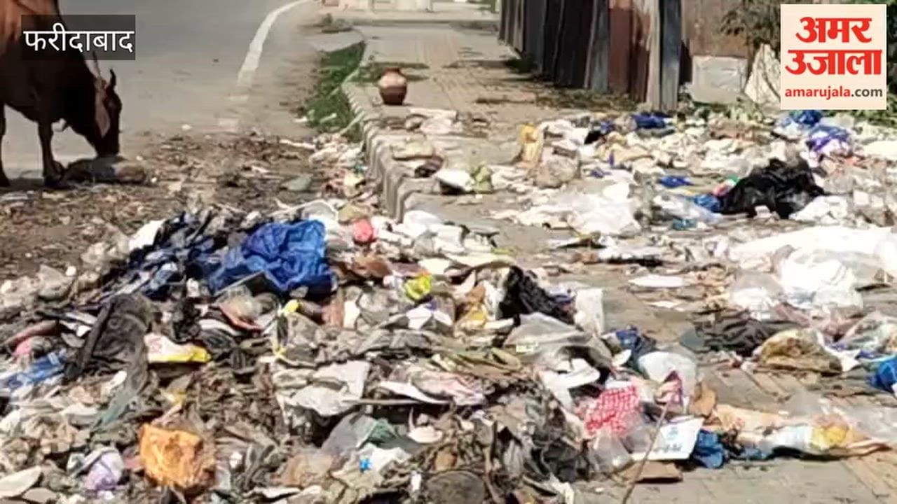 Garbage piles up in Faridabad even after sanitation workers' strike ends
