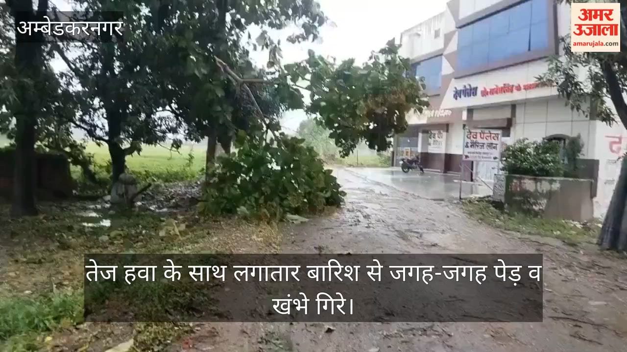 VIDEO: बारिश बनी आफत, फसलें तबाह, बिजली आपूर्ति व्यवस्था बेपटरी, कई इलाकों में बिजली गुल