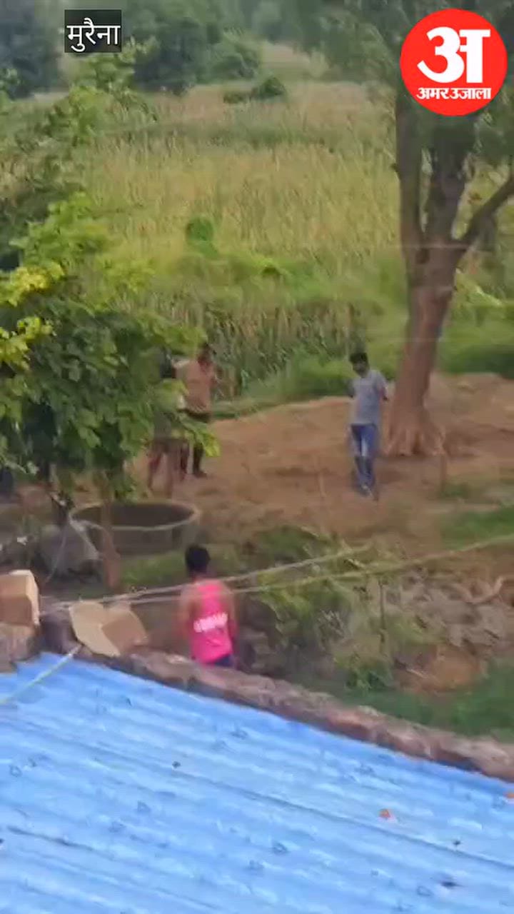 Woman sitting at her doorstep attacked with sticks four people who came to her rescue also beaten five injured