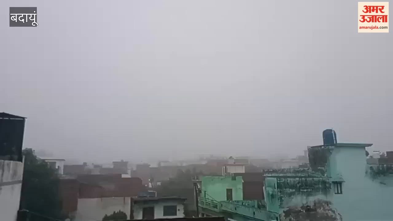 Weather changes after rain Fog in Badaun