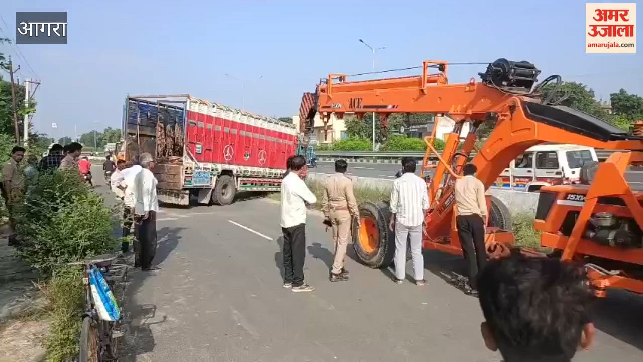 Five Held for Dumping Buffalo Carcass Near Highway, Cut Mark Found on Its Neck