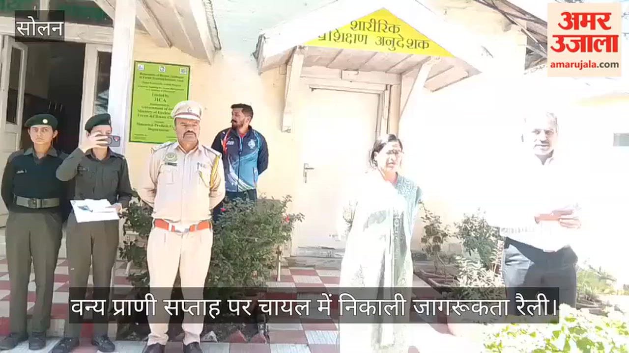 Awareness rally held in Chail during Wildlife Week; message of environmental conservation conveyed.