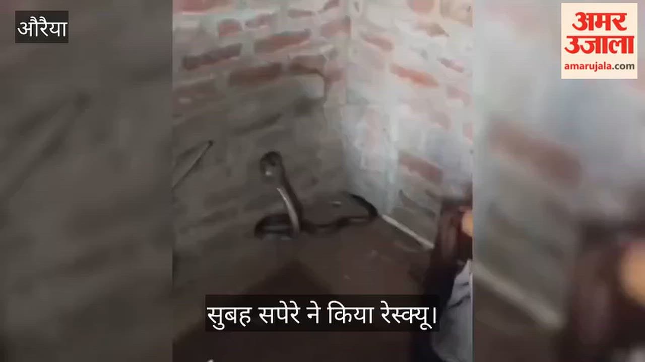 Auraiya snake appeared in house in Omnagar late at night family performed aarti regarding it as Nag Devta
