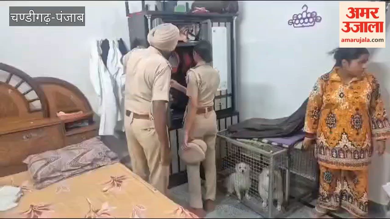 CASO operation conducted at 42 hotspots in Ferozepur; 440 personnel carried out searches.