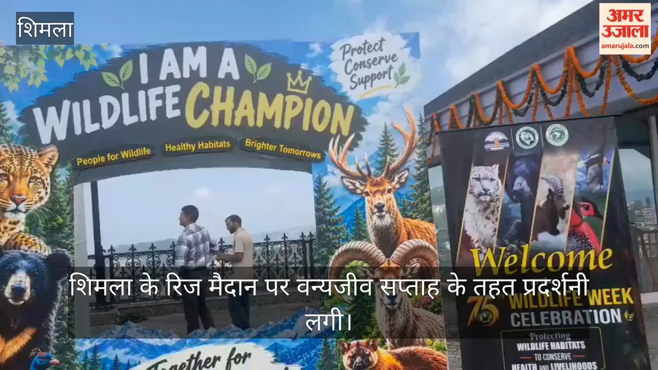 wildlife week exhibition ridge shimla handmade pine needle products