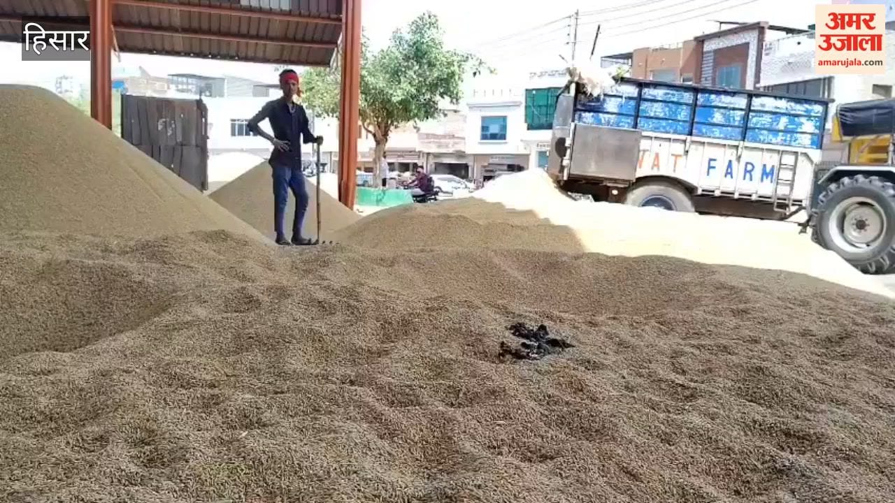 Paddy arrivals increase in Hansi Mandi; farmers unhappy with government procurement of PR variety.