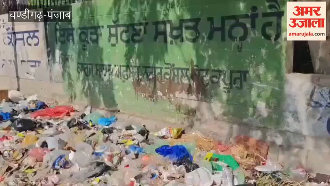 Scattered garbage dumps in Kotkapura have become a nuisance; demand raised for a permanent solution before the festive season.