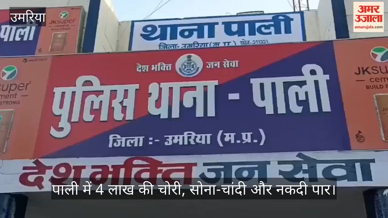 Theft Worth ₹4 Lakh Reported at House in Pali, Gold, Silver and Cash Stolen
