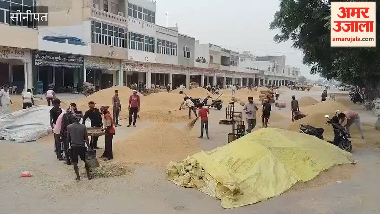 Procurement of PR paddy awaits at the new grain market in Gohana; operations have been halted for several days due to the absence of rice millers.