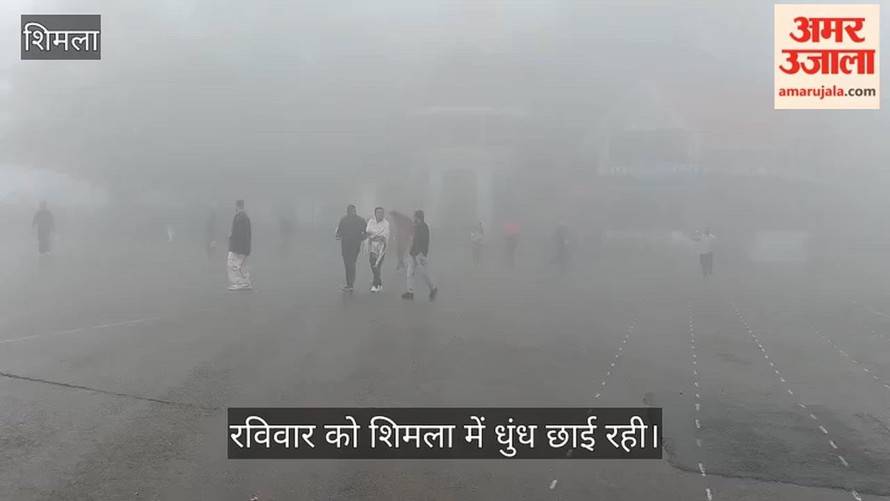 Shimla Fog and Cold Weather Sunday