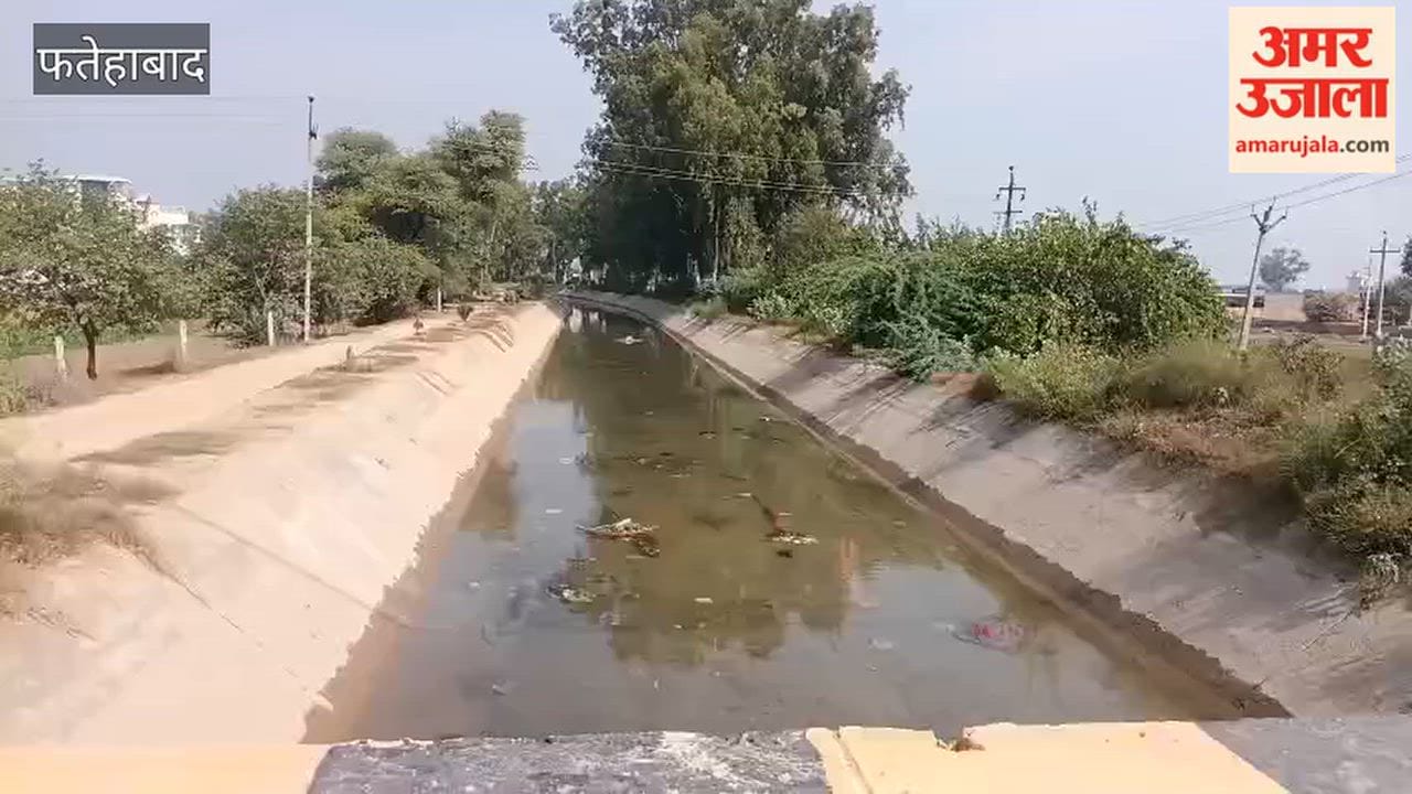 There is a fear that mustard sowing will be affected due to the closure of the canal in Fatehabad, farmers demanded to release water.