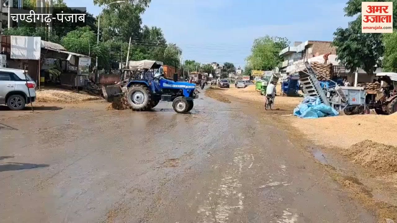 Unseasonal rain causes estimated losses of around ₹10 crore at the Fazilka grain market; soaked paddy becomes a cause for concern for farmers and commission agents