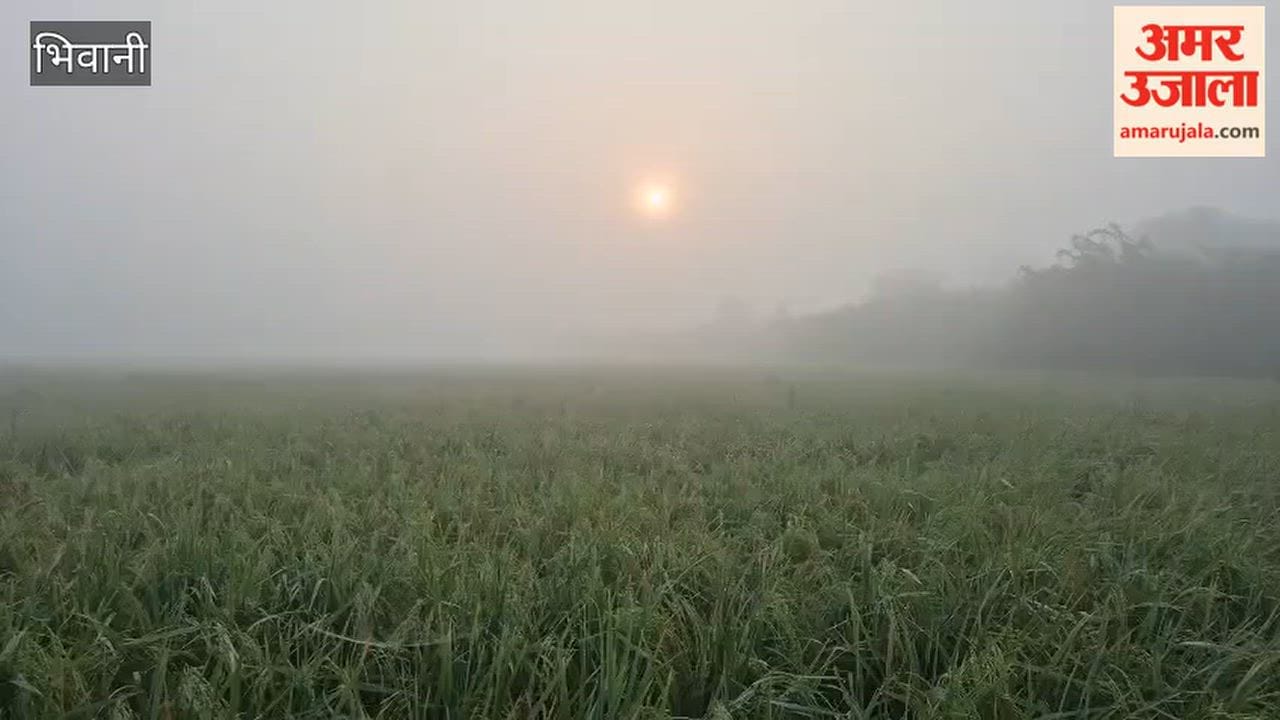 light haze sets in during morning in Bhiwani following rain