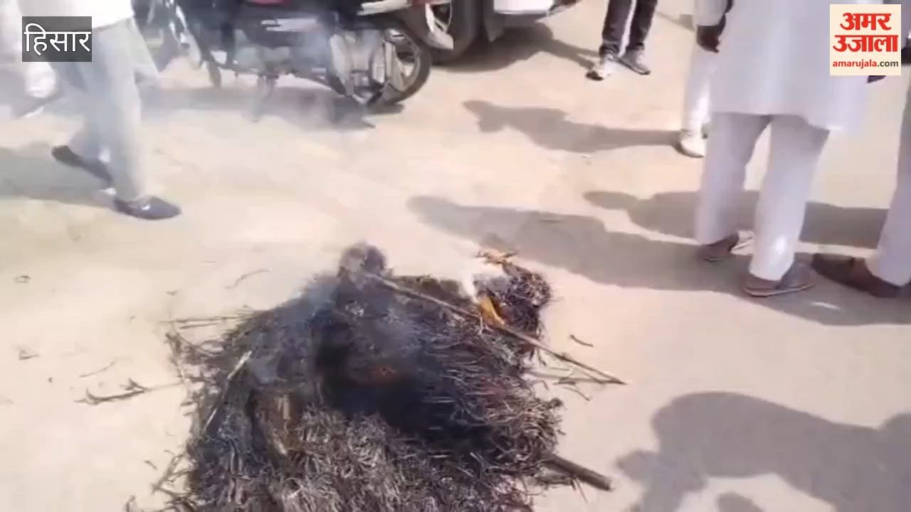 Farmers in Hansi gheraoed the BJP office and burned an effigy of CM Nayab Saini.