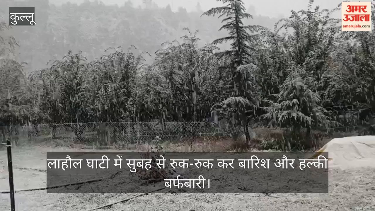 lahaul valley rain snowfall apple growers concern