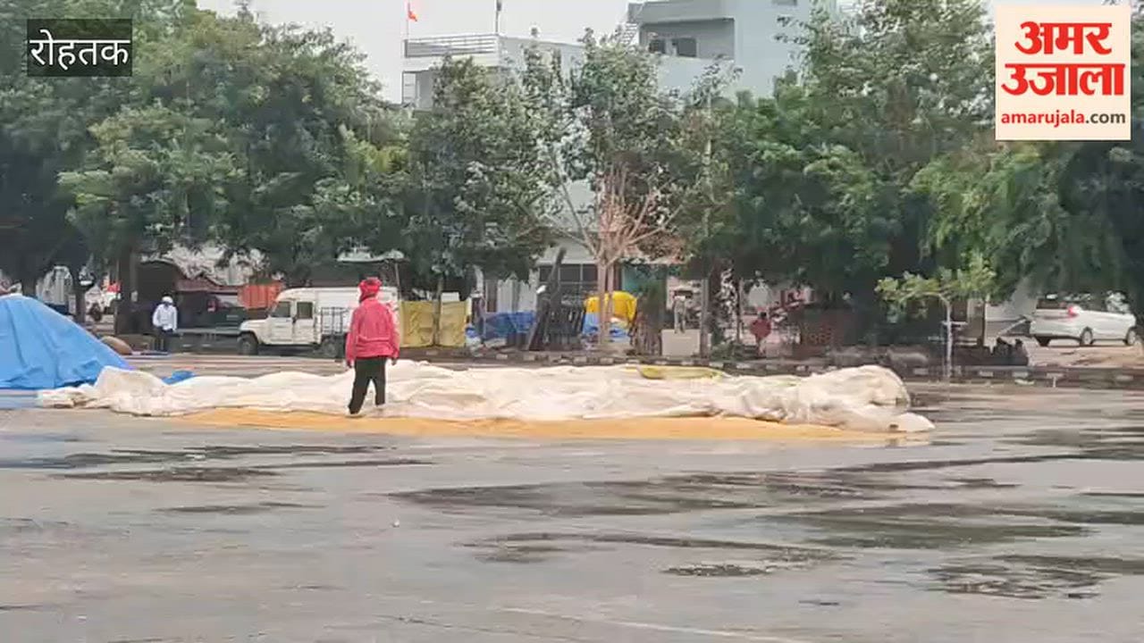 Paddy soaked by rain at Rohtak mandi