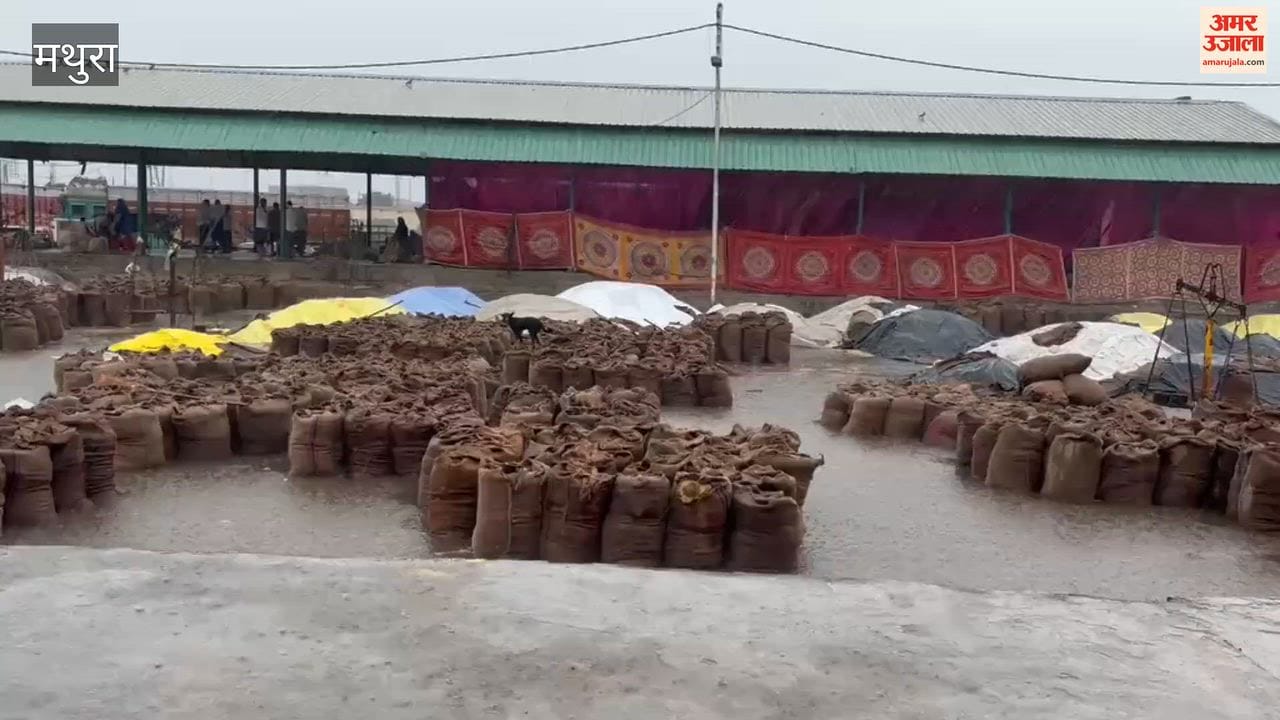 Sweated in the fields, rain made the market cry