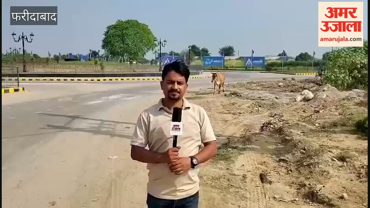 Animals roaming streets without tags in Greater Faridabad