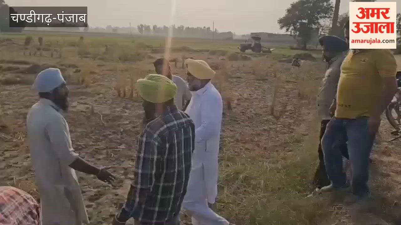 Politics heats up over crop damage in Faridkot