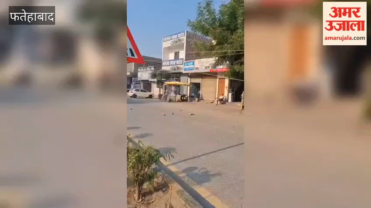 In Fatehabad, a speeding pickup truck rammed into an electricity pole, causing it to fall onto a car.