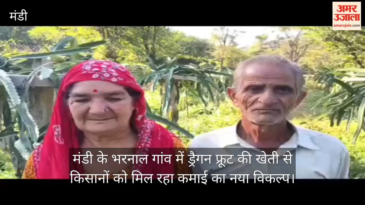 dragon fruit farming two bigha two lakh income mandi himachal