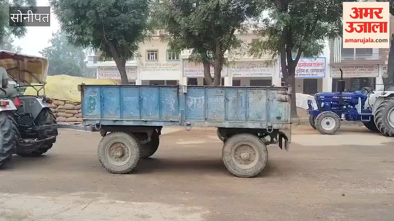 Unseasonal rain in Gohana, Sonipat, leaves paddy soaked at grain market; procurement affected