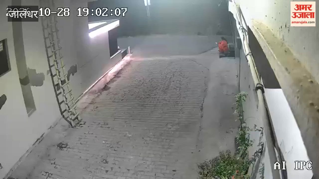 Snatching from a woman in Jalandhar