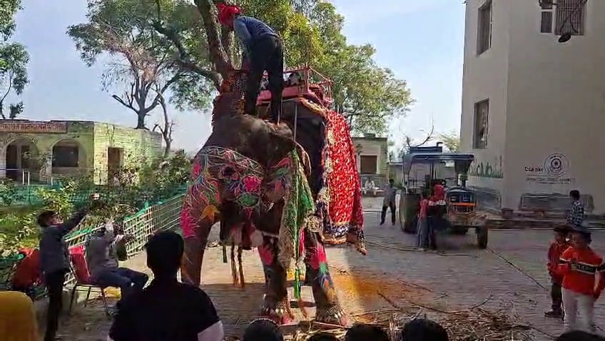 नन्ही कामाक्षी, गांव महलाना में जिसका नामकरण संस्कार समारोह एक ऐतिहासिक यादगार बन गया। संवाद
