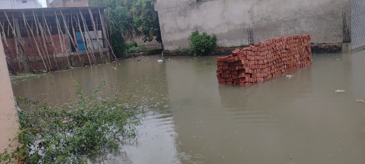 बारिश में गिरे पेड़, शहर में हुआ जलभराव और खेतों में गिरीं फसलें। संवाद बारिश में गिरे पेड़, शहर में हुआ जलभराव और खेतों में गिरीं फसलें। संवाद