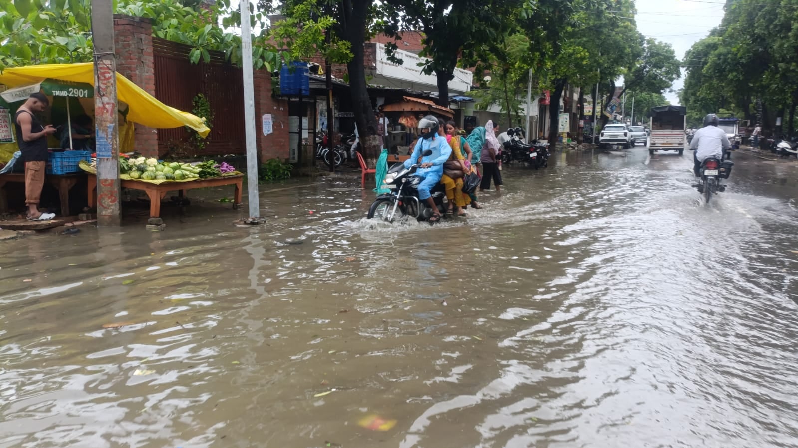  टांडा के खासपुर जहांगीरगंज गांव में लल्लू वर्मा की गोशाला पर गिरा पेड़। संवाद
