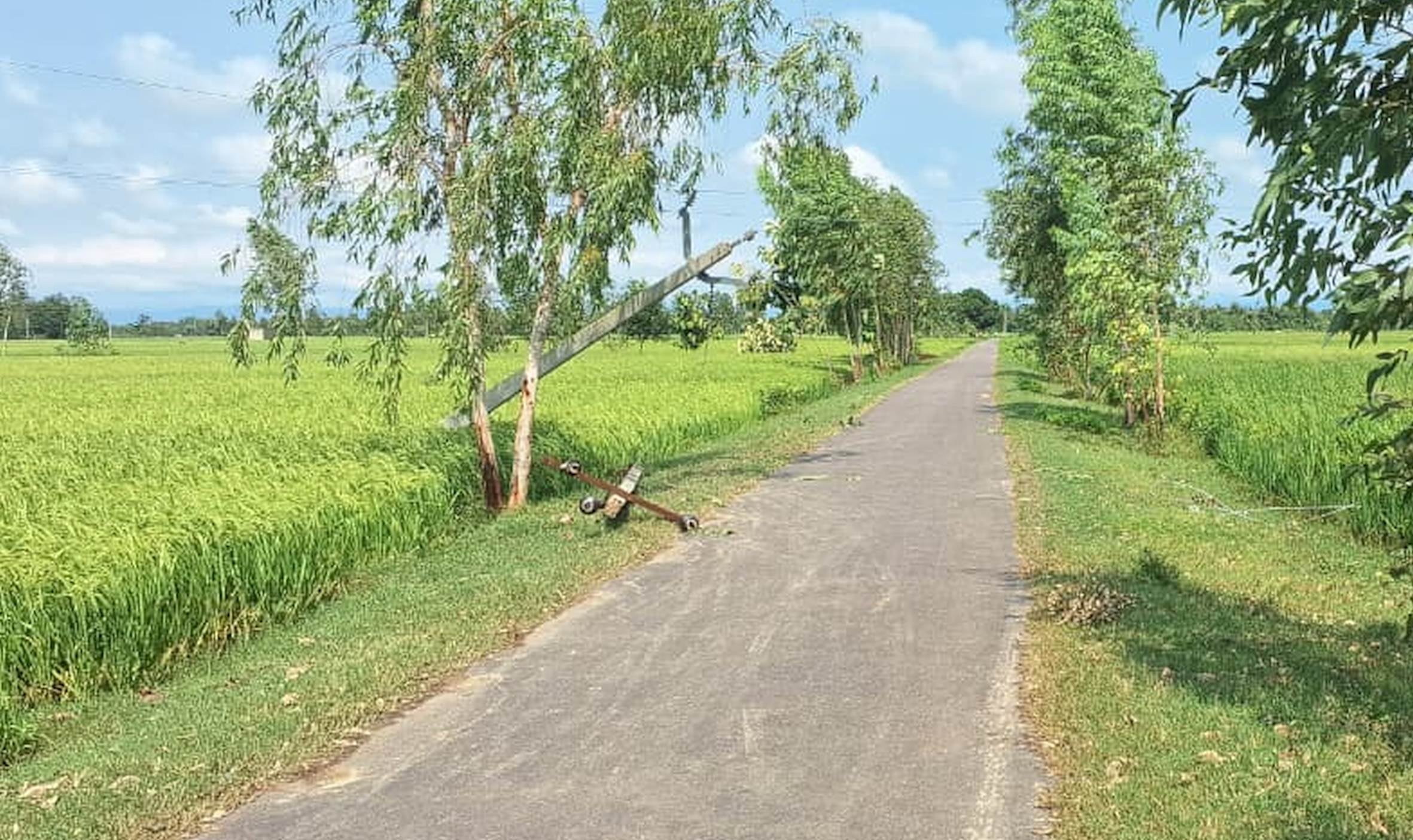 बारिश व तेज हवा से टूटे खंभे और तार।