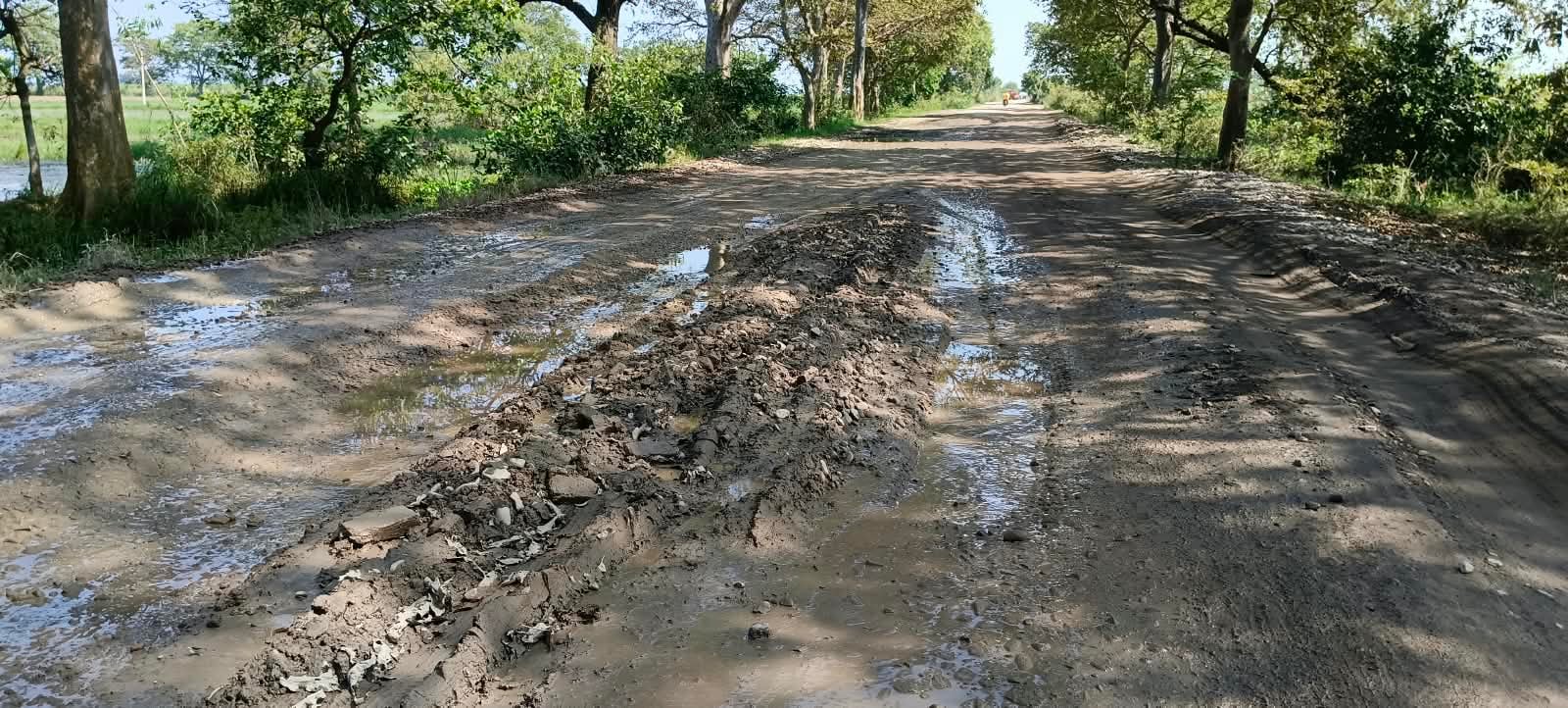 मखदूमपुर नए गांव सपर्क पर हुए गढ्ढे स्रोत संवाद