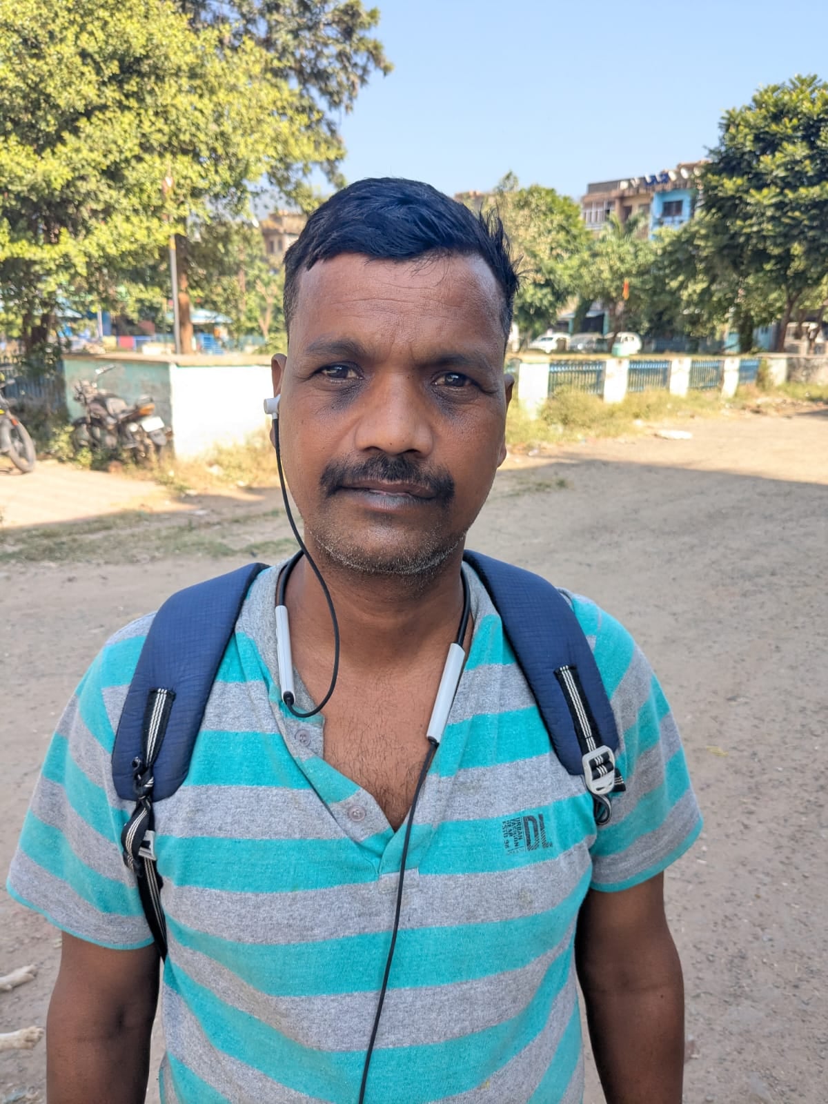 बद्दी के हिमुडा कालोनी के फेस चार में बिल्डिंग की दीवारों पर उगी घास- संवाद।