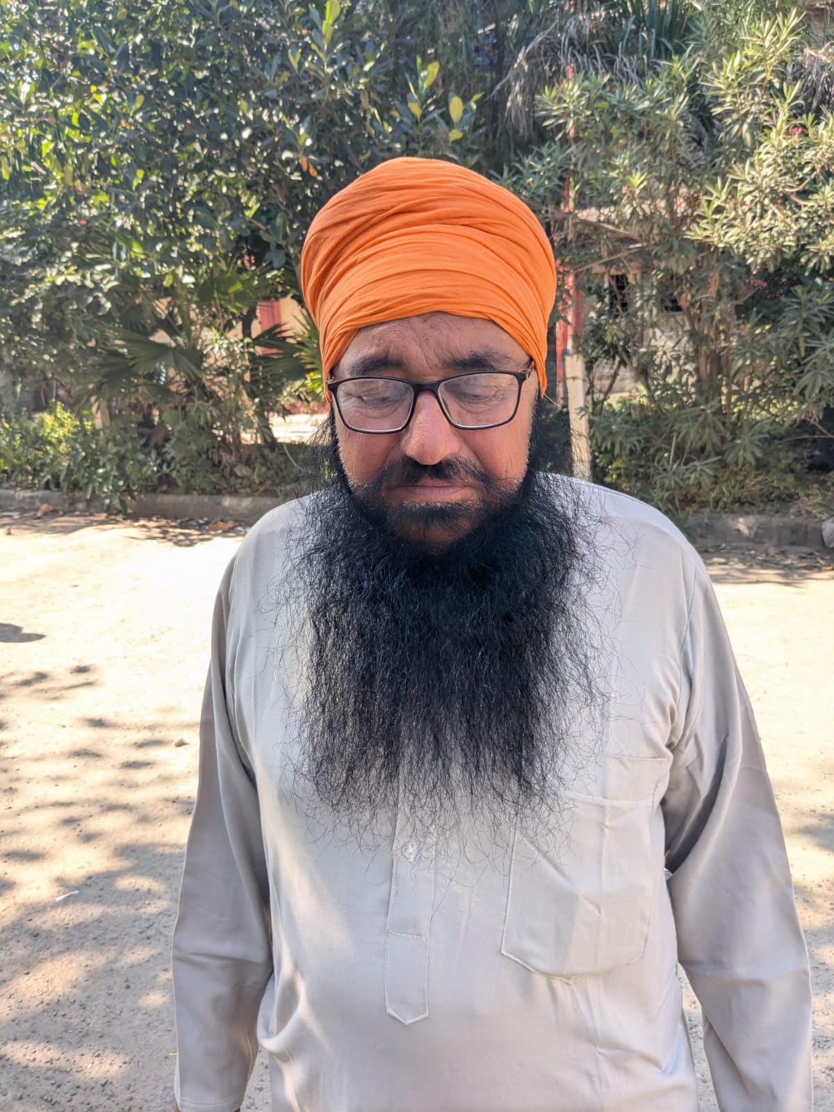 बद्दी के हिमुडा कालोनी के फेस चार में बिल्डिंग की दीवारों पर उगी घास- संवाद।