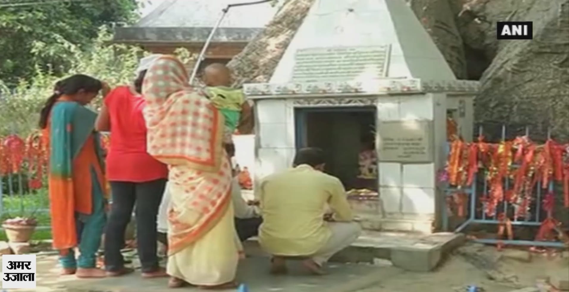पारिजात का वृक्ष