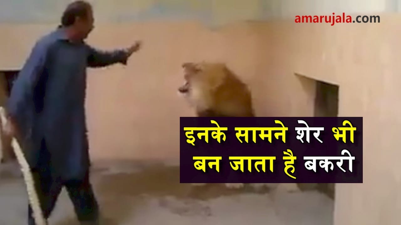 प्रतीकात्मक तस्वीर