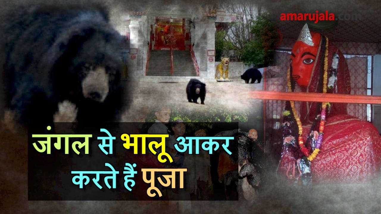 प्रतीकात्मक तस्वीर