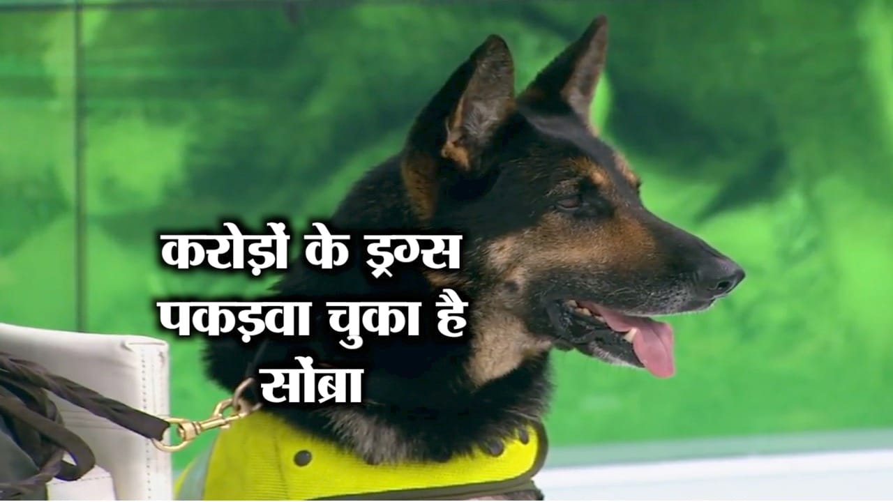 कुत्ता