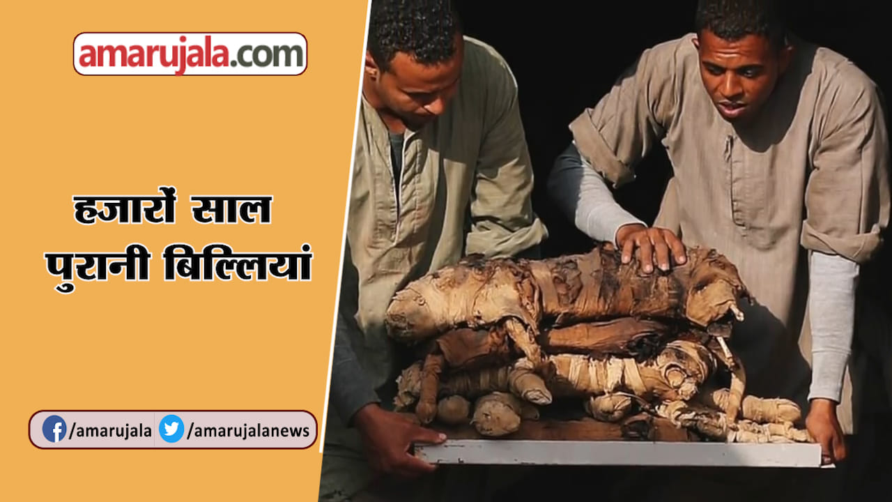 इजिप्ट
