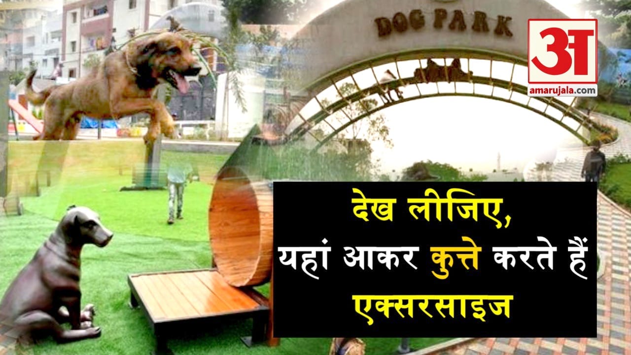 dog park