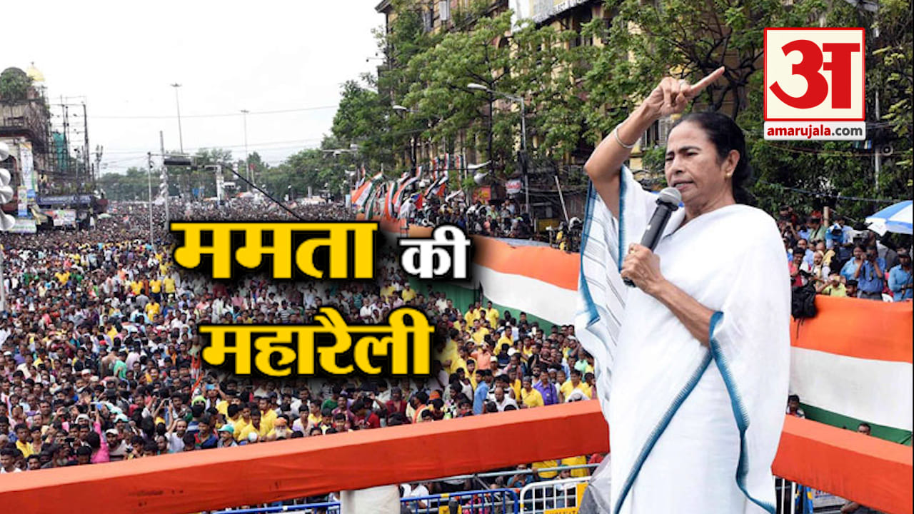ममता