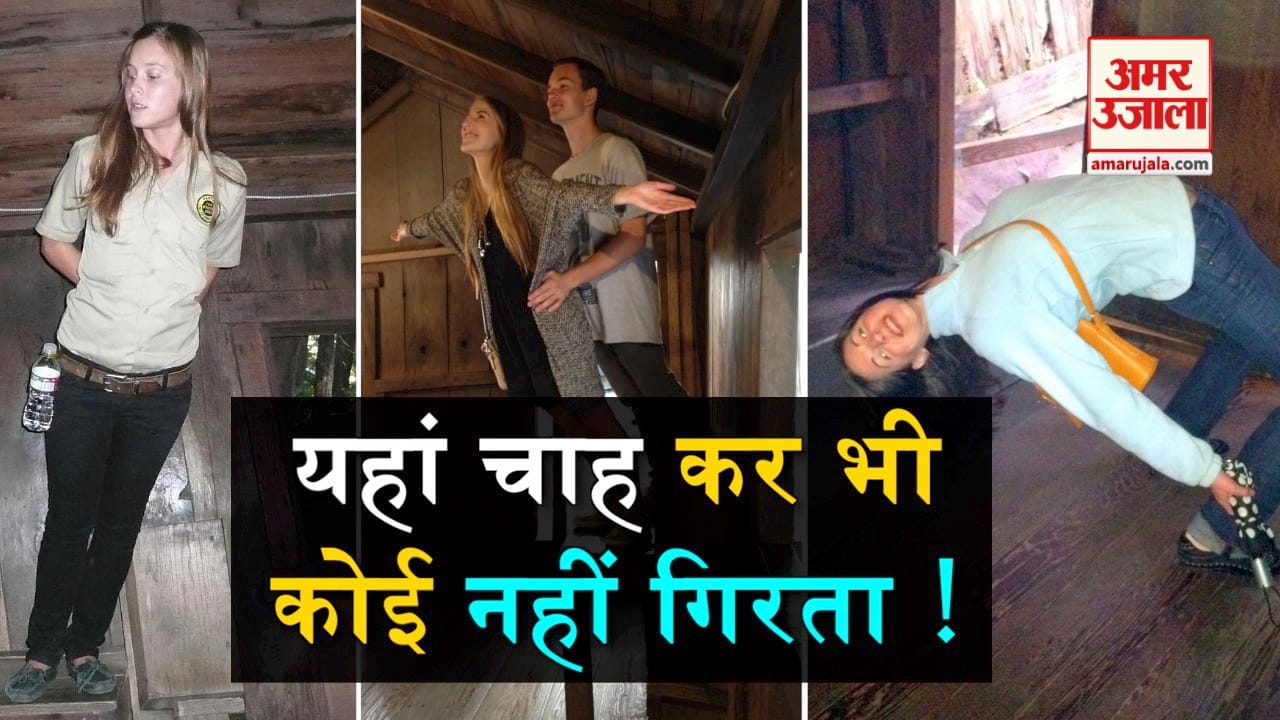 डिजाइन पिक्चर