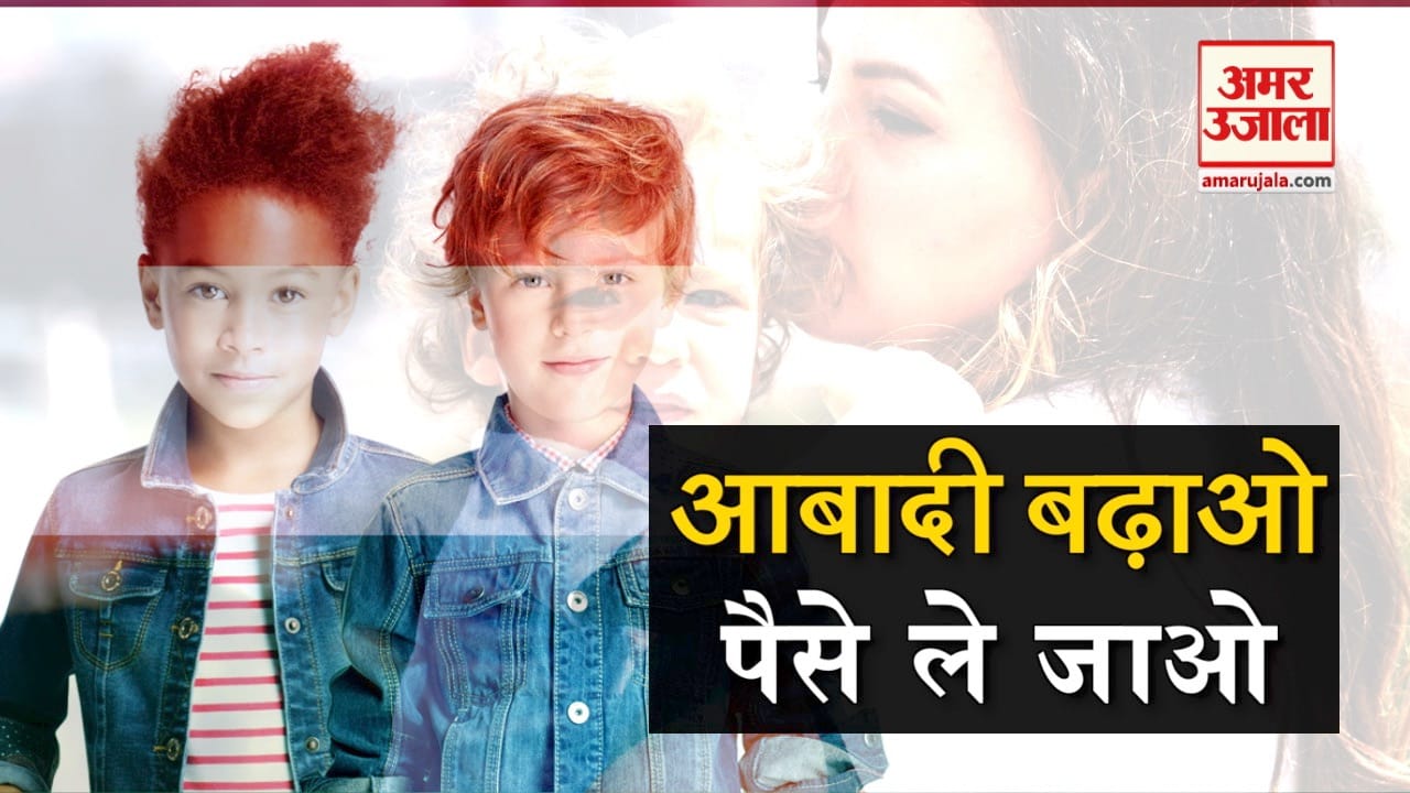 डिजाइन पिक्चर