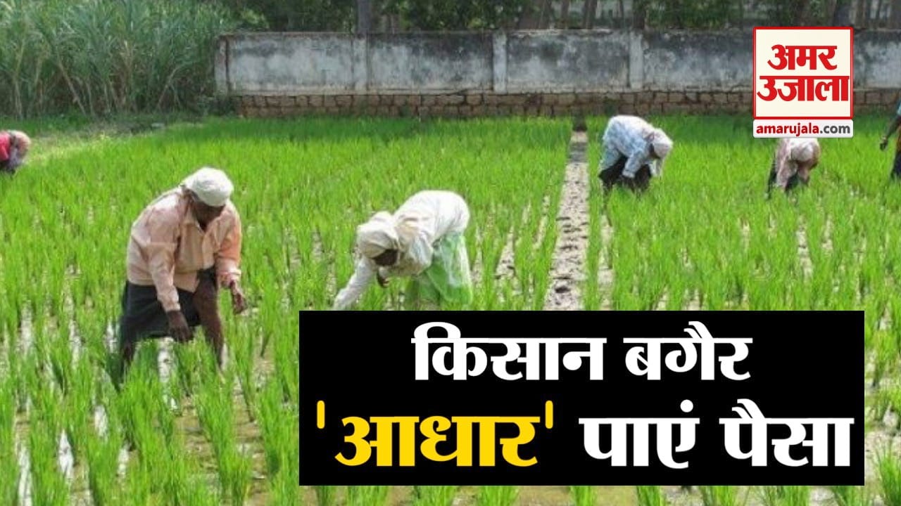 किसान