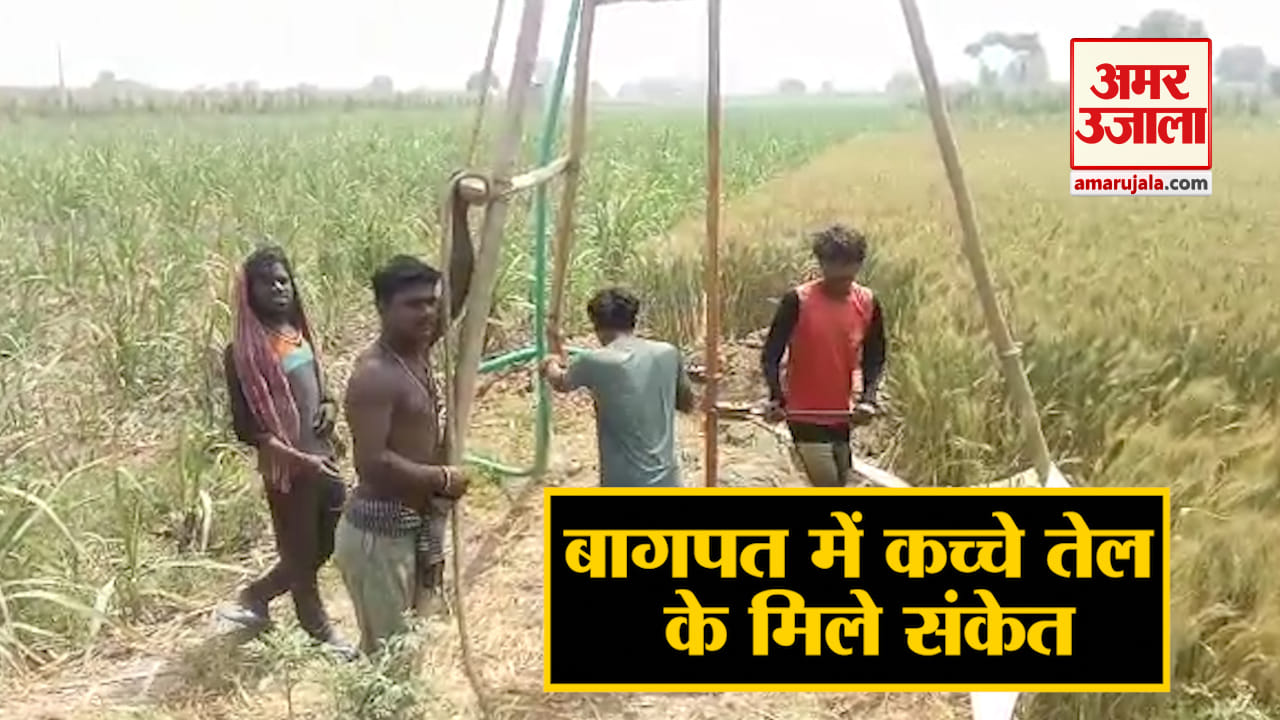 यूपी न्यूज