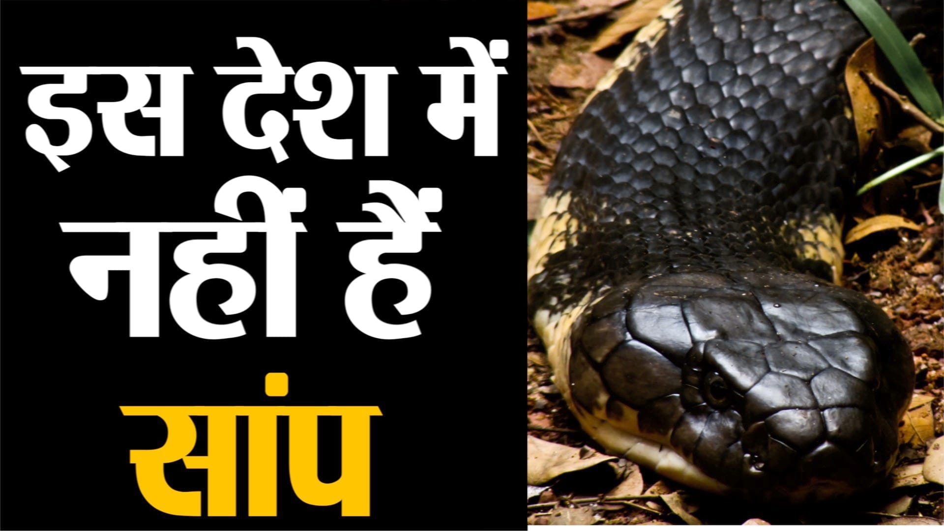 प्रतिकात्मक तस्वीर