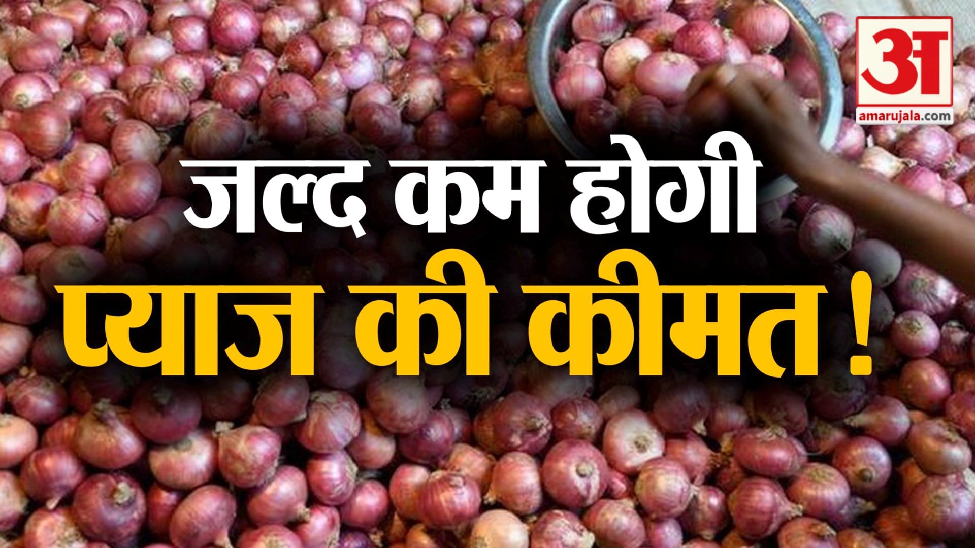 business news in a click including onion price may reduce in India