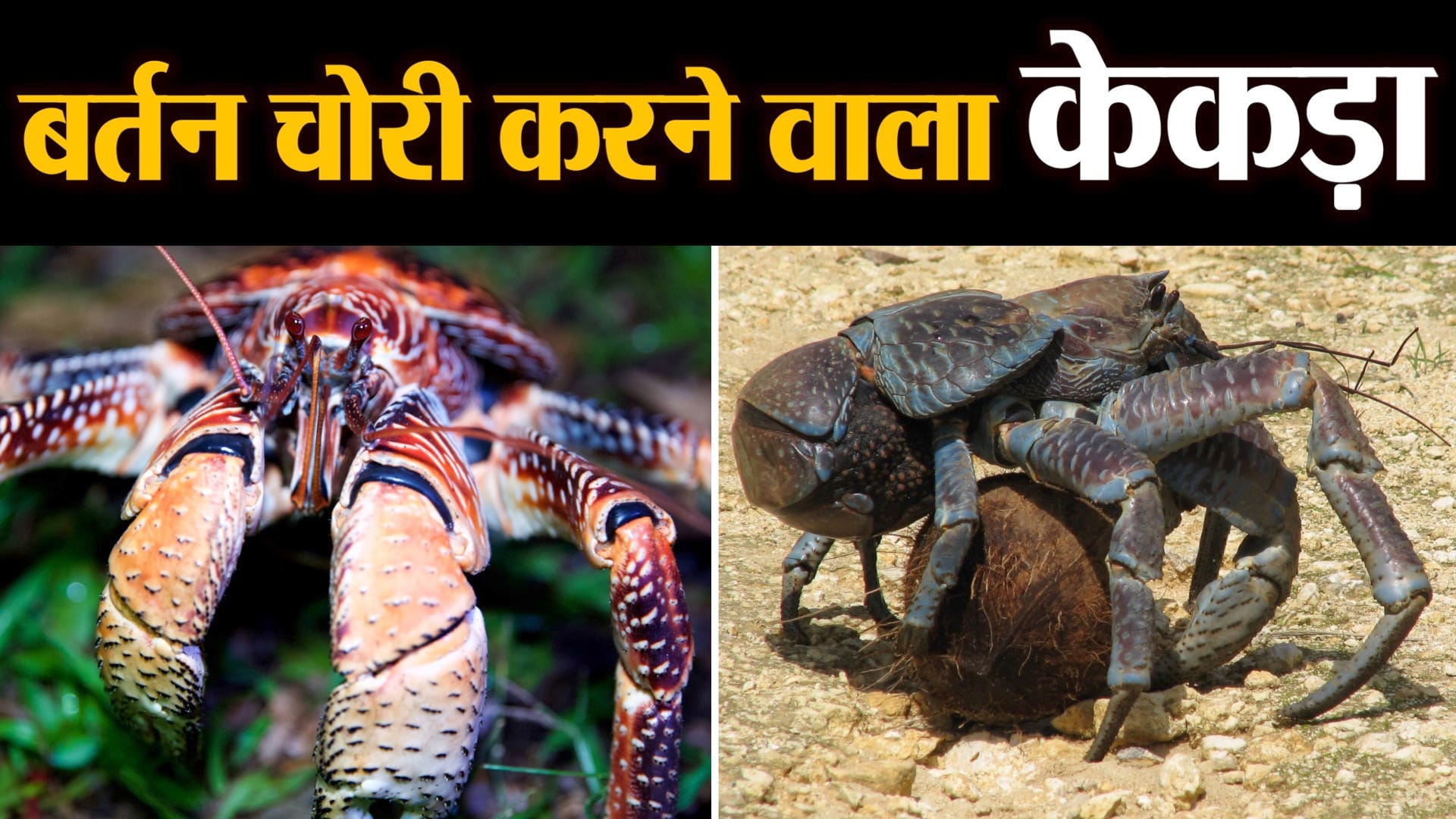 फाइल फोटो