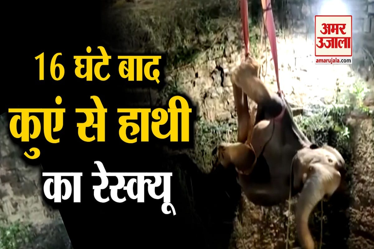 हाथी