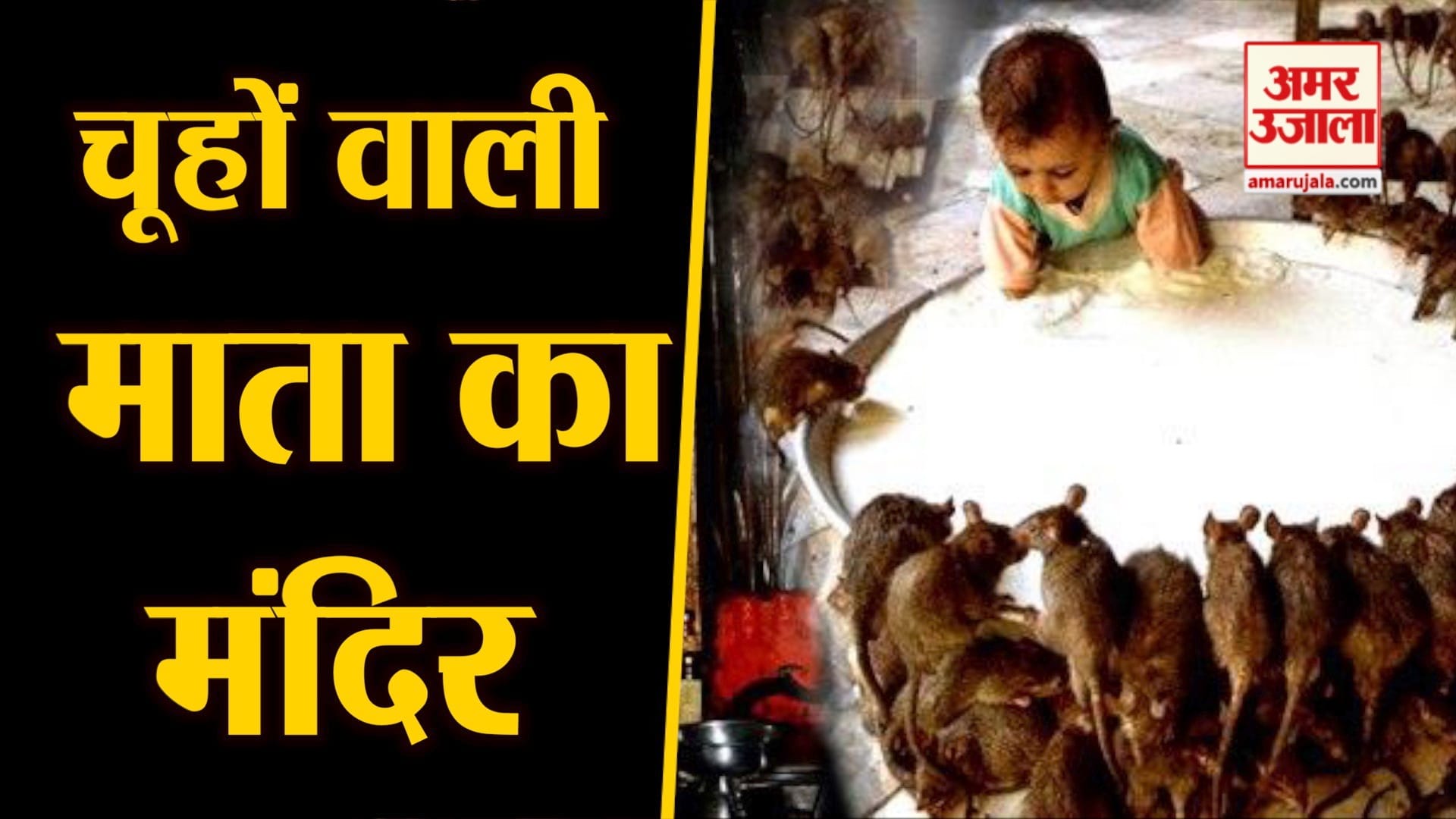 डिजाइन इमेज